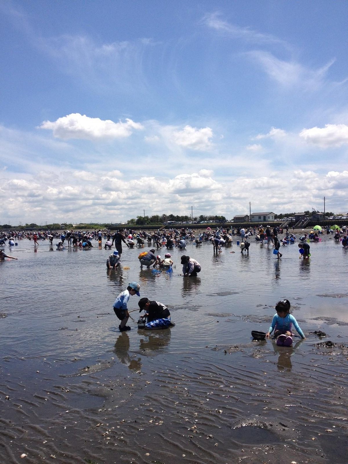 🐚 에가와 해안 갯벌 체험장 (에가와카이간 시오히가리바)